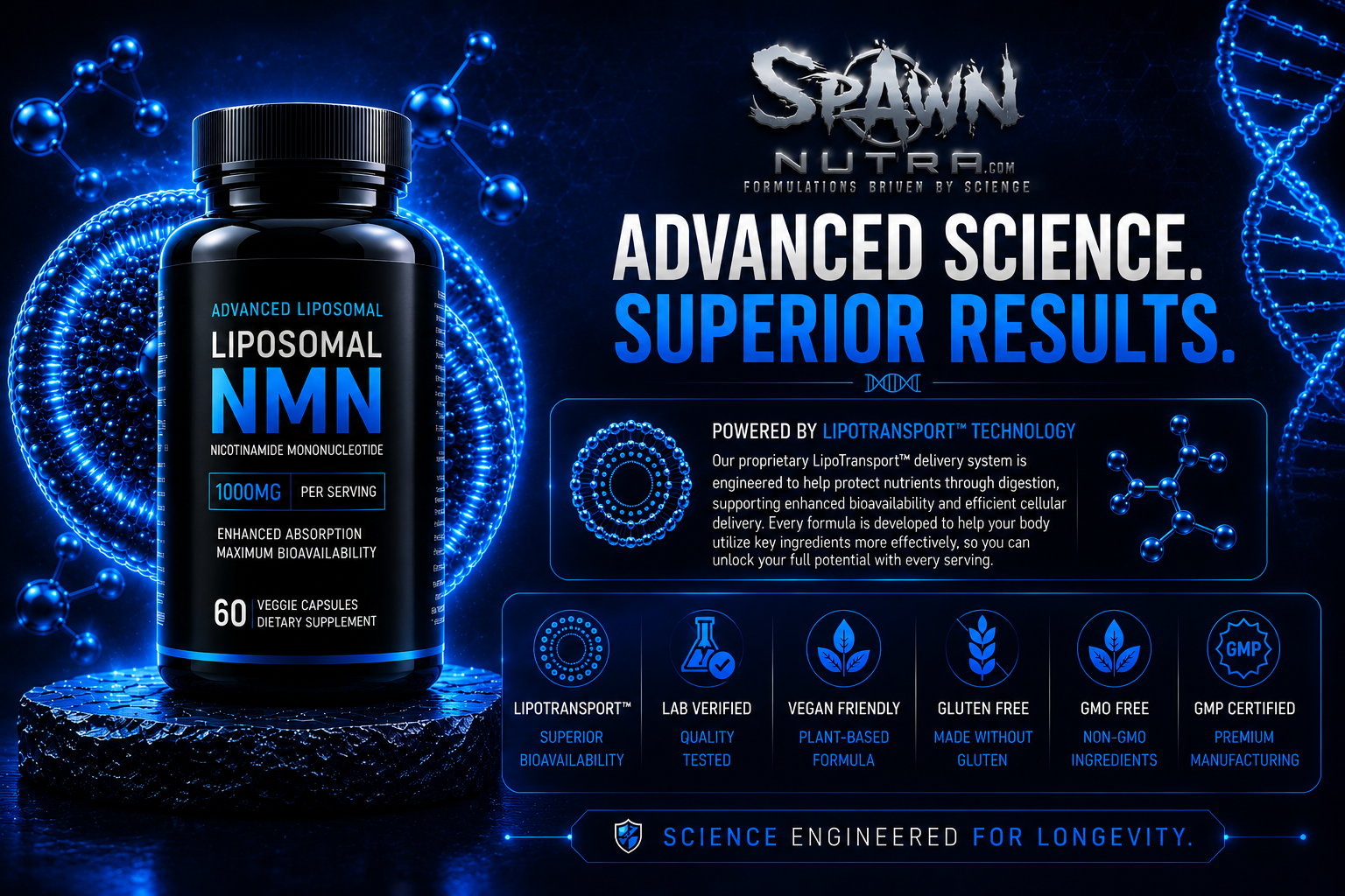 Recovery & Muscle Support